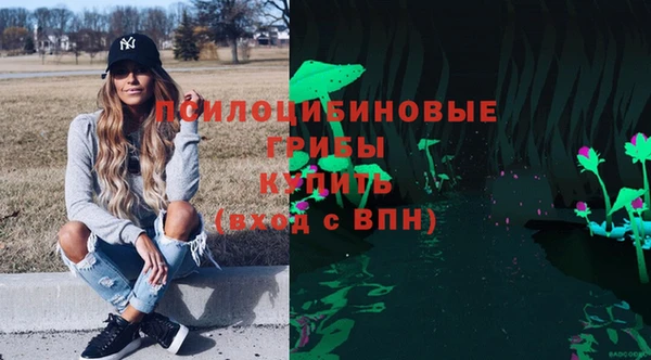 apvp Заводоуковск