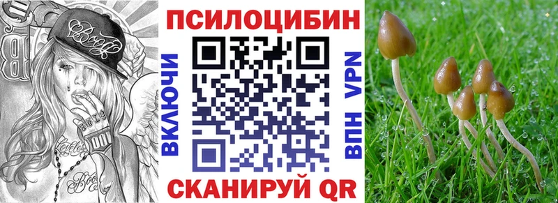 Купить закладки  Бикин  Галлюциногенные грибы Cubensis 